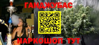 ECSTASY Гатчина