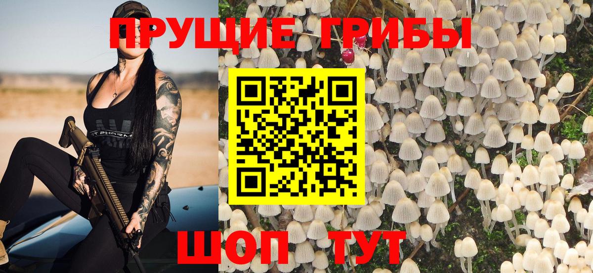 Псилоцибиновые грибы GOLDEN TEACHER Когалым